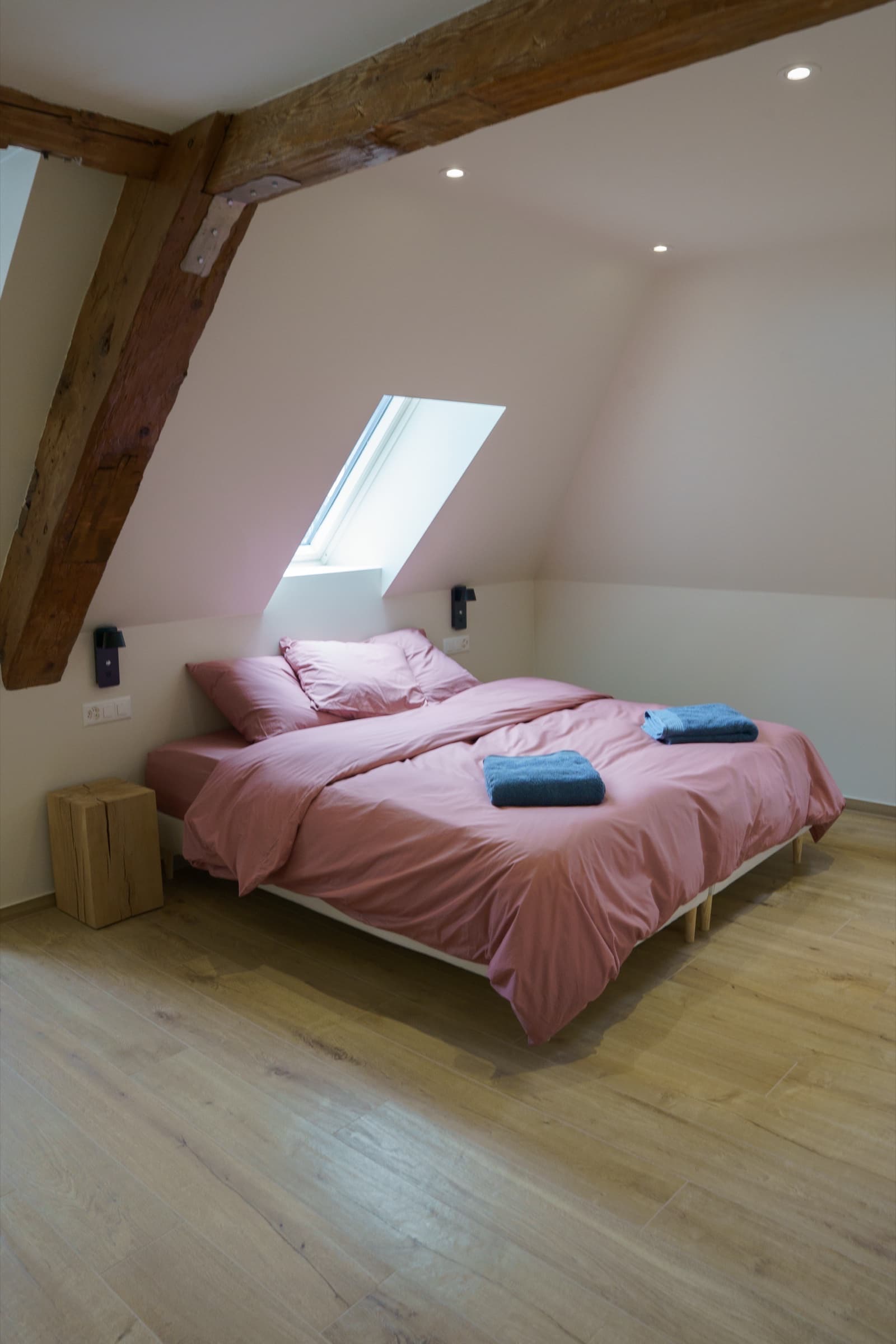 Suite Rose avec Velux — Le Rooftop